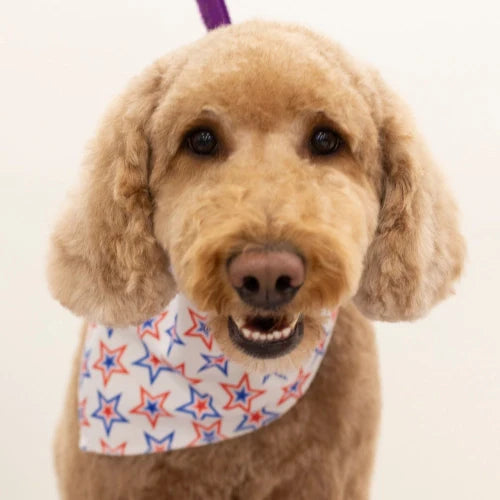 Patriotic Bandanas