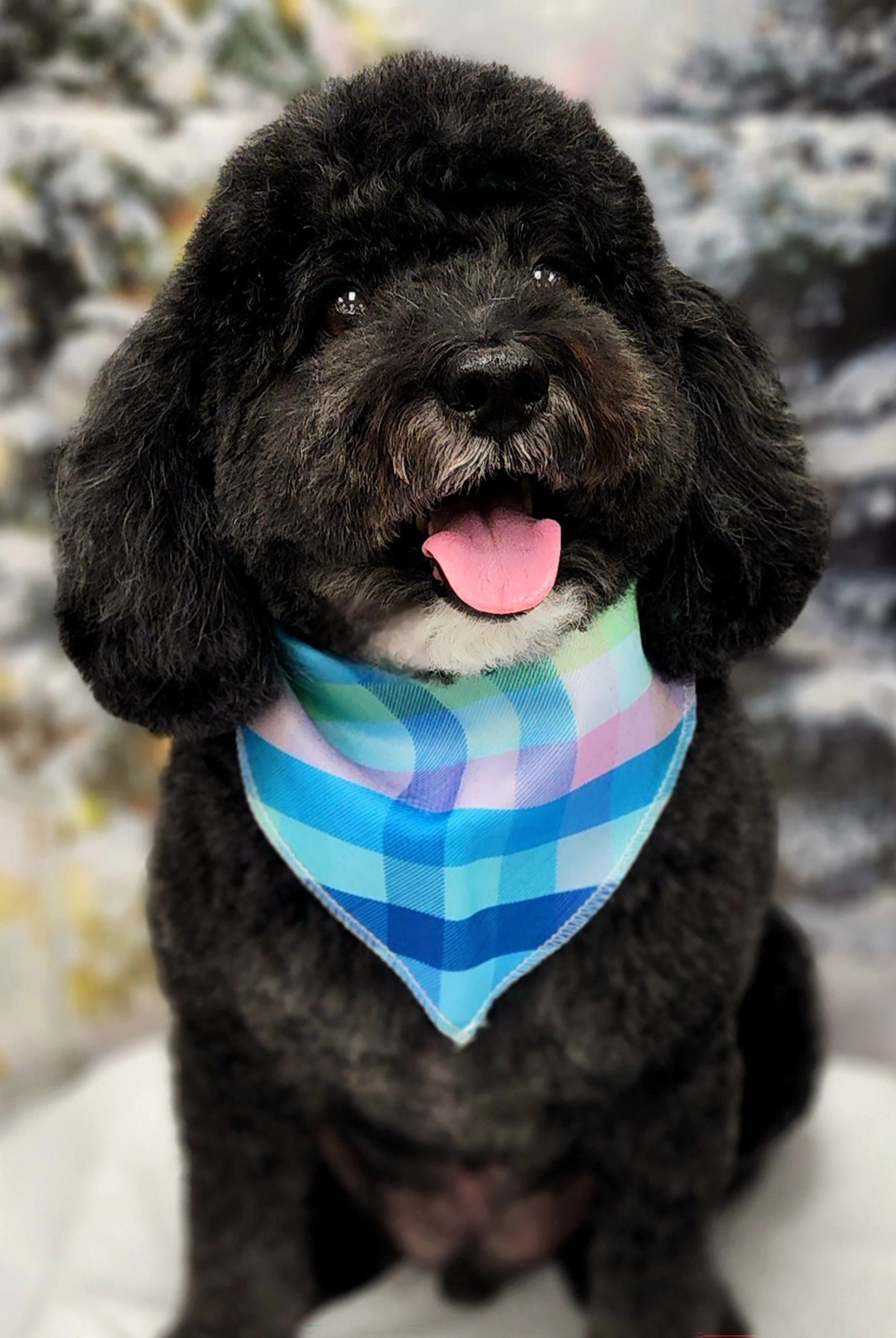 Dog wearing a colorful bandana with a Christmas tree in the background