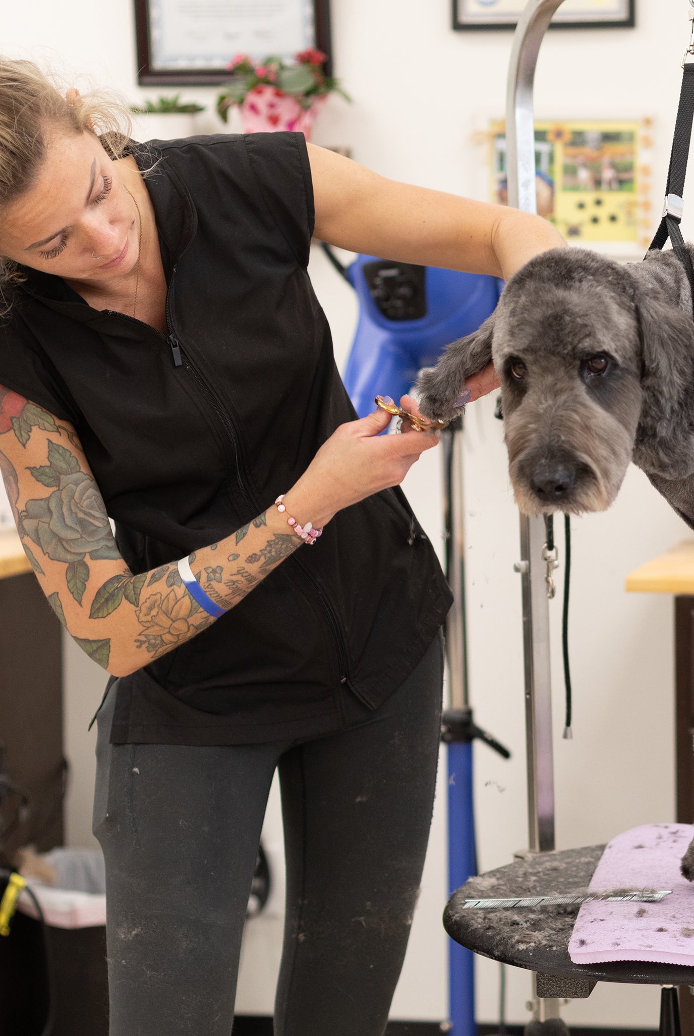 dog grooming smock