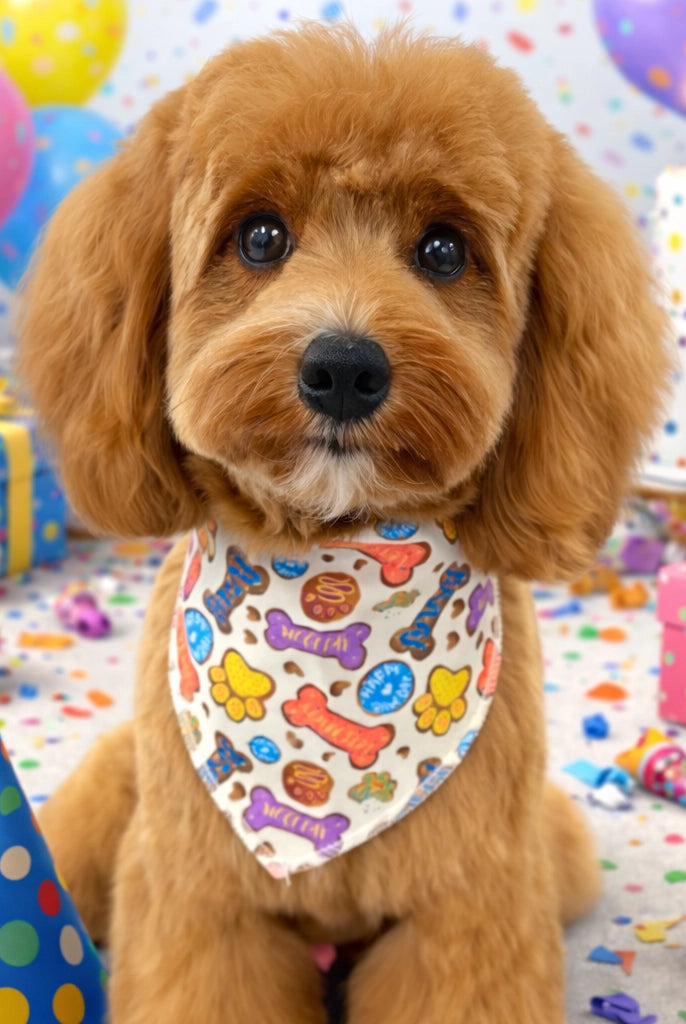 Dog wearing a colorful bandana in a birthday party setting with balloons, cake, and presents.