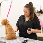 black pet grooming jacket