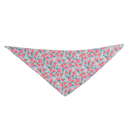 An Apple a Day Bandanas - 12 pack
