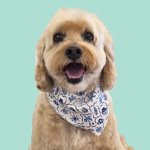 Dog Bandanas