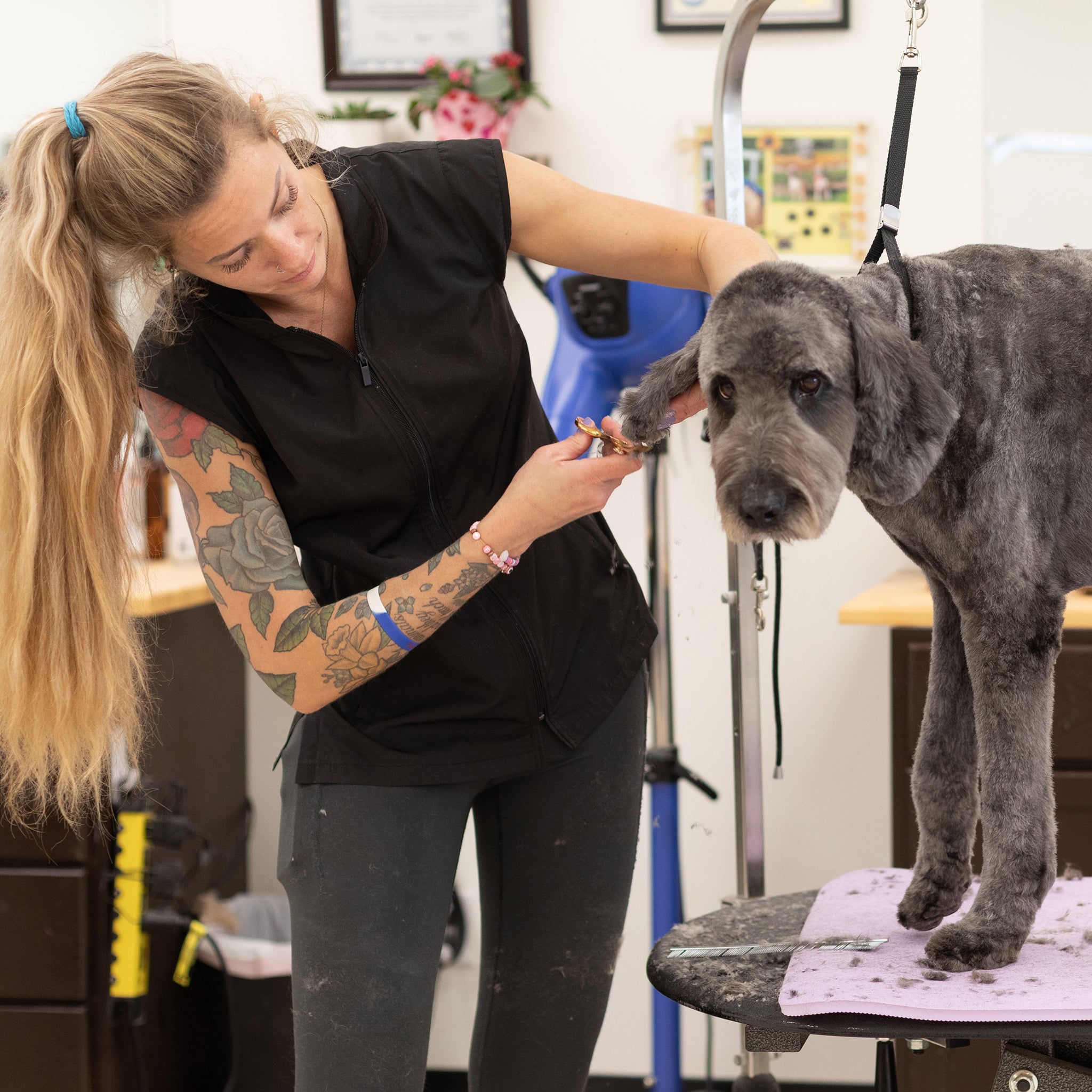 dog grooming smock