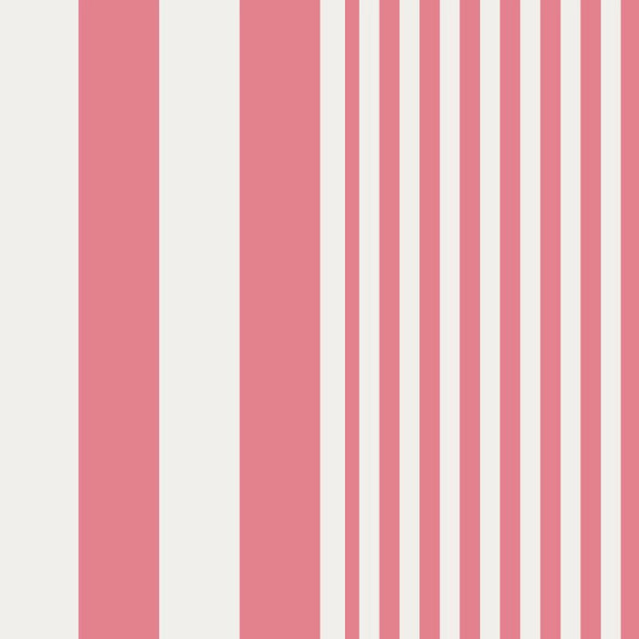 Pink Stripe