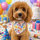 Dog wearing a colorful bandana in a birthday party setting with balloons, cake, and presents.